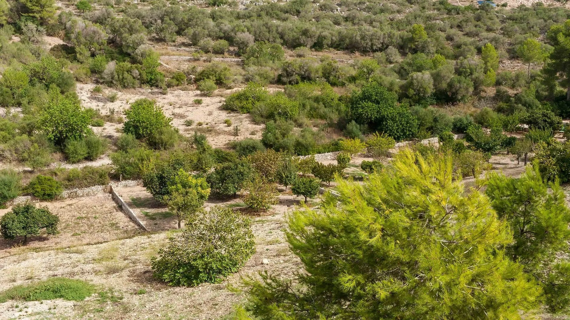 Hort De Sa Vall فيلانيتكس 0*,